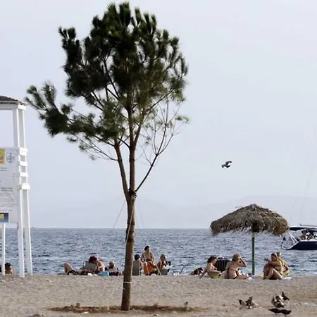 Palmyra Hotel Athens