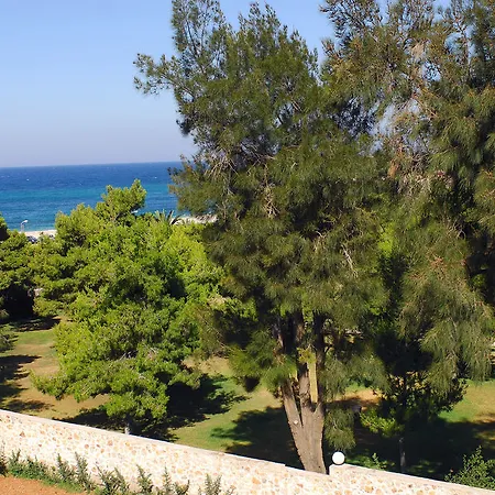 Palmyra Atena